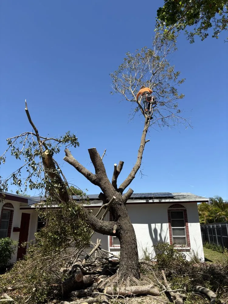 Custom outdoor landscaping near you across Davie, FL - Express 1 Landscaping