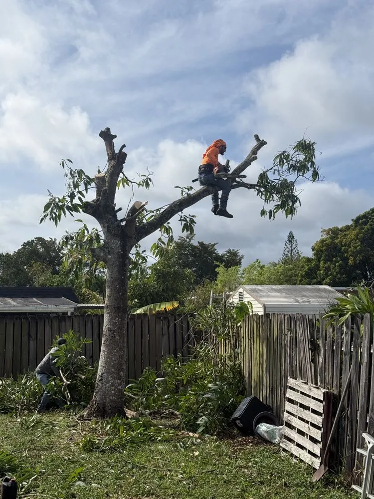 Reliable yard maintenance experts serving Davie, FL - Express 1 Landscaping