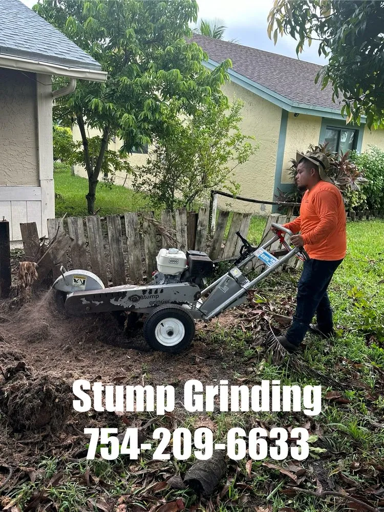 Reliable lawn care service for homes across Davie, FL - Express 1 Landscaping