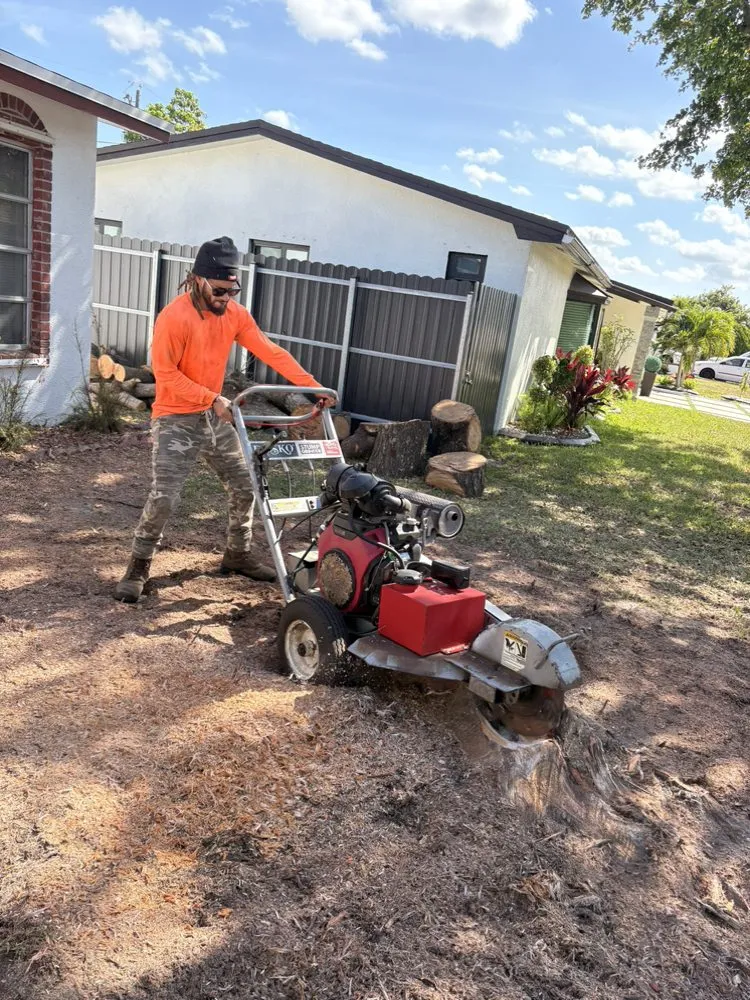 Custom garden landscaping near you across Davie, FL - Express 1 Landscaping