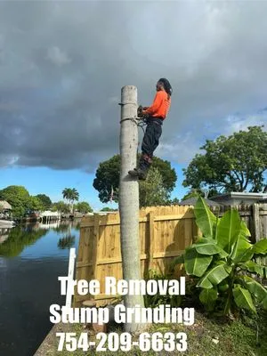 Express 1 Landscaping Logo