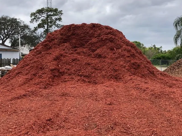 Affordable yard cleanup service in Altamonte Springs, FL by Express Hauling Service