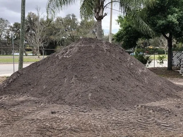 Top-rated outdoor landscaping in Altamonte Springs, FL - Express Hauling Service