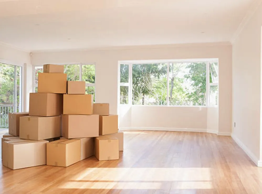 Affordable yard cleanup service in Hazleton, PA - Express Junk Removal