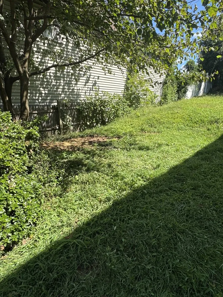 Local yard maintenance in Hazleton, PA - Express Junk Removal