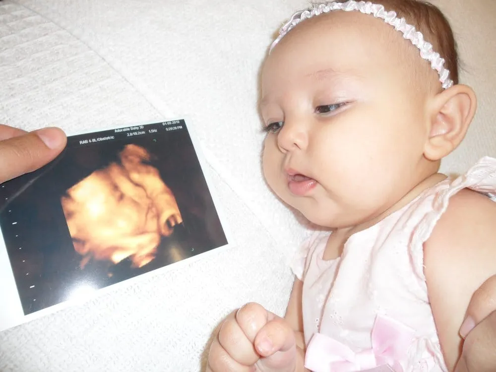 Top-rated outdoor landscaping in Riverside, CA by Express Junkers