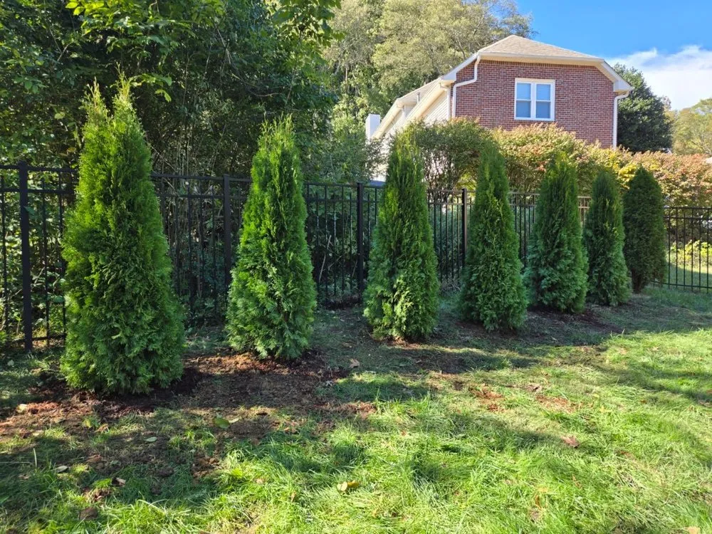 Top-rated landscape design in Portland, TN - Express Landscaping