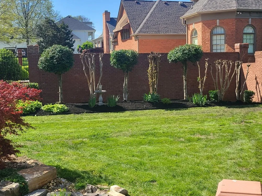 Professional yard cleanup service in Portland, TN by Express Landscaping