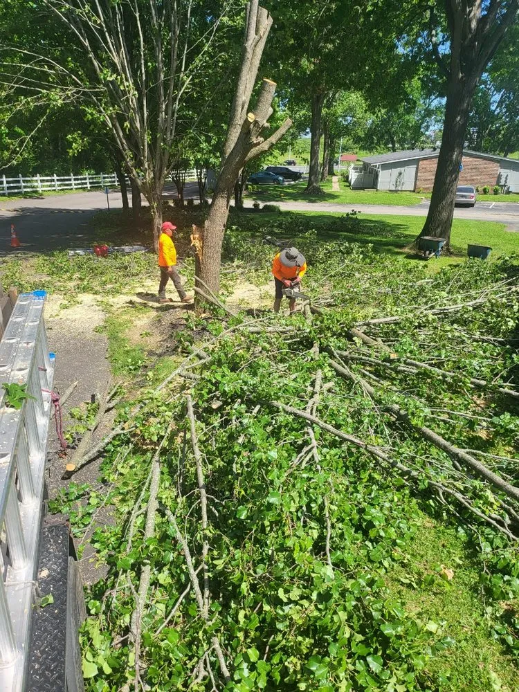 Professional garden landscaping in Portland, TN by Express Landscaping