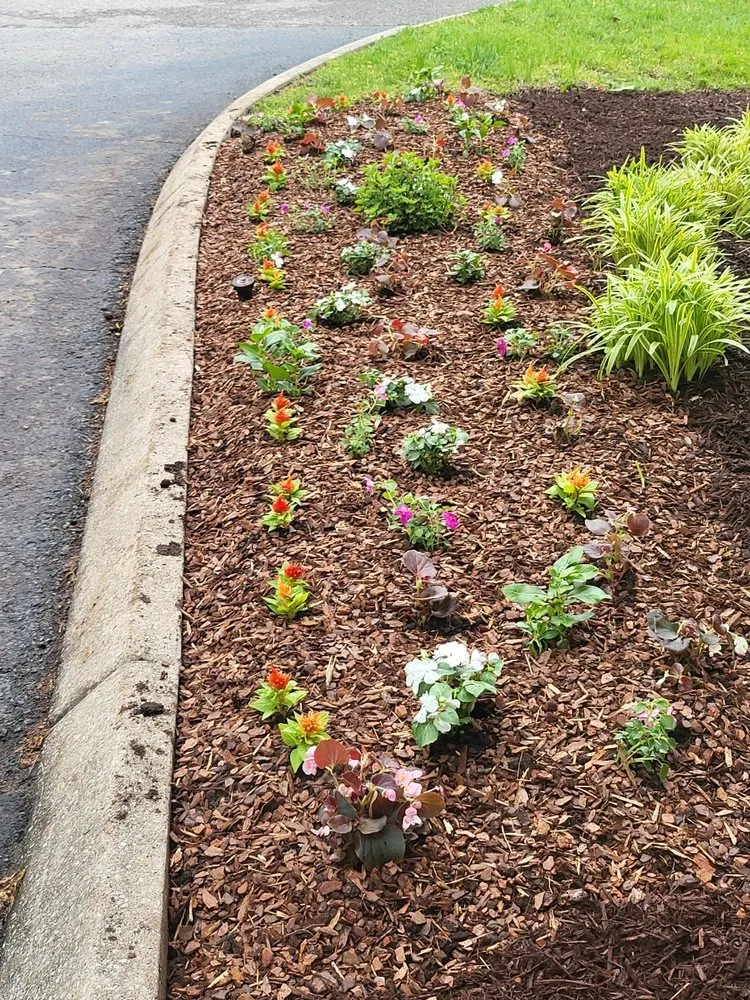 Top-rated garden landscaping in Portland, TN - Express Landscaping