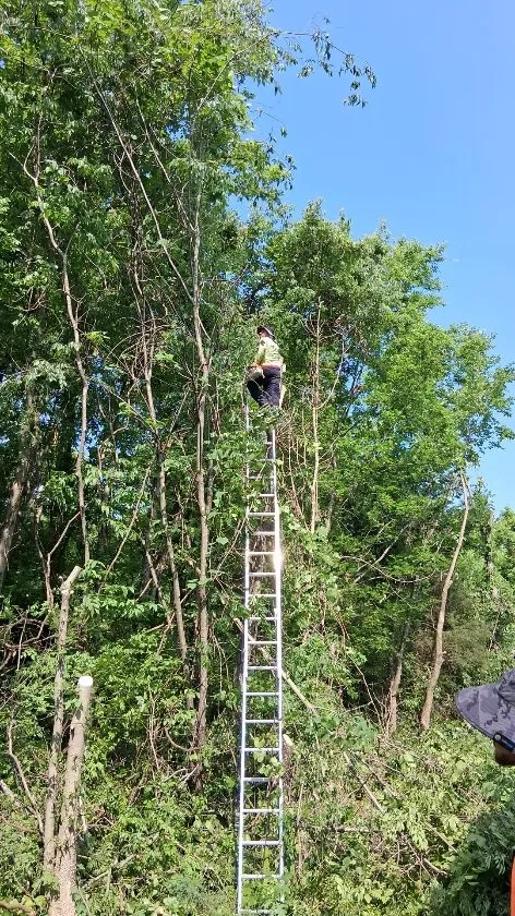 Custom lawn care service in Portland, TN by Express Landscaping