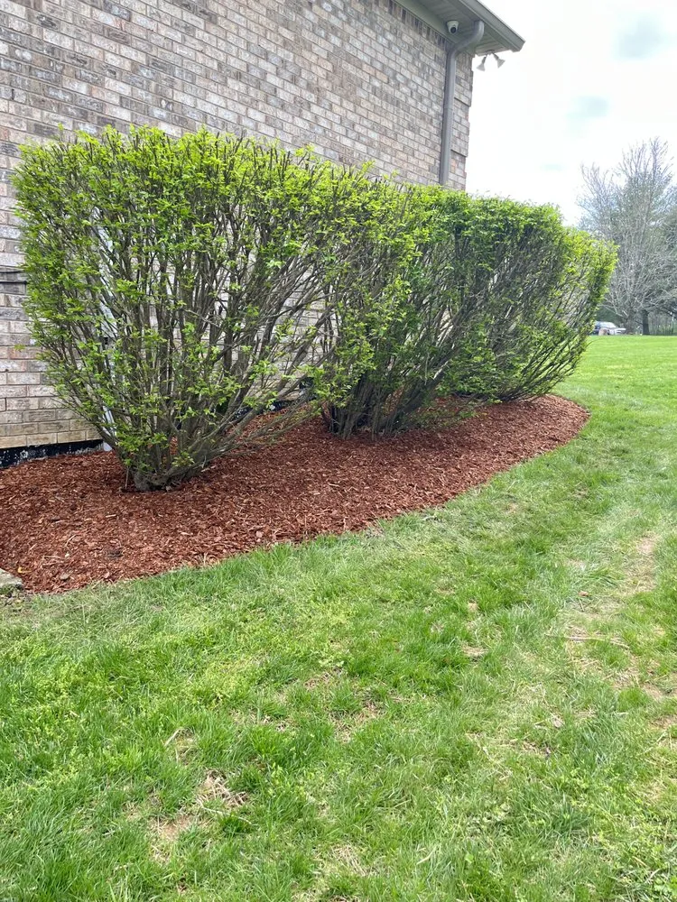 Custom lawn care service experts serving Portland, TN - Express Landscaping