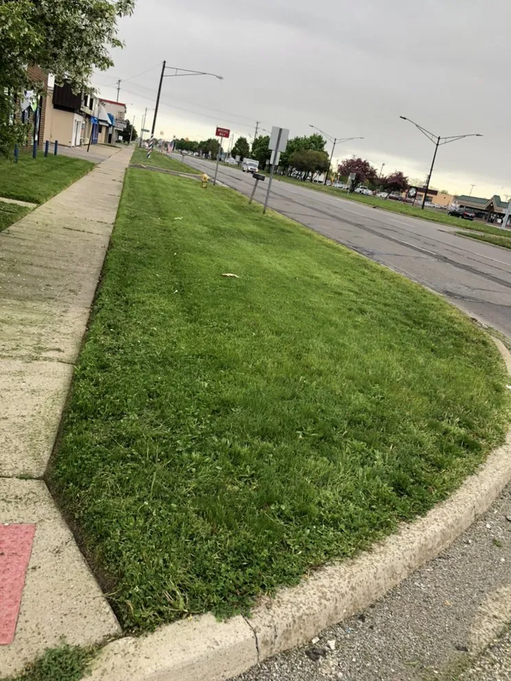 Professional yard cleanup service in Detroit, MI - Express Landscaping Service