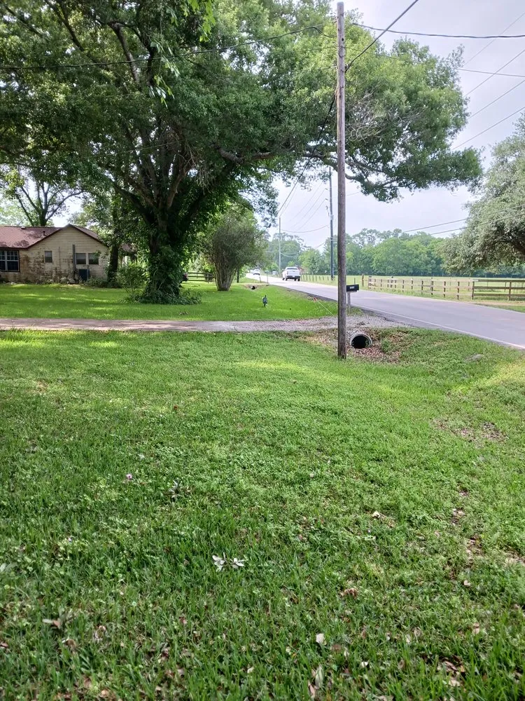 Reliable yard maintenance experts serving Manvel, TX - Express Lane Lawn Service