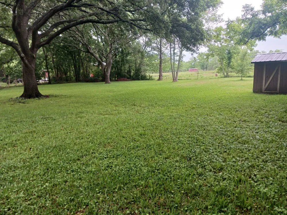 Local lawn care service in Manvel, TX - Express Lane Lawn Service