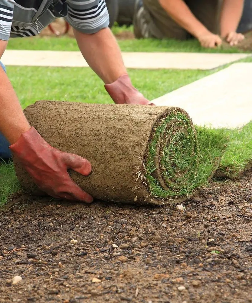 Top-rated landscaping services for residential properties in Wernersville, PA by Express Lawn & Landscape