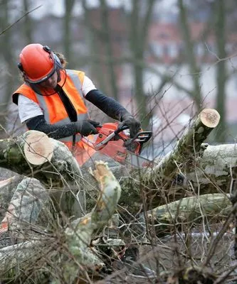 Express Lawn & Landscape