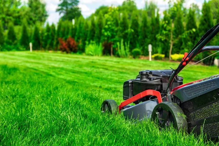 Affordable residential landscaping near you across Woodstock, IL - Express Lawn Care & Landscaping