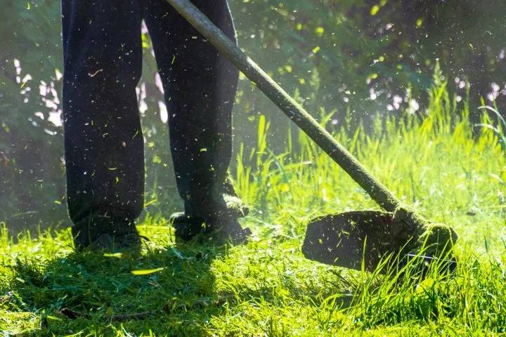 Expert landscape installation experts serving Woodstock, IL - Express Lawn Care & Landscaping