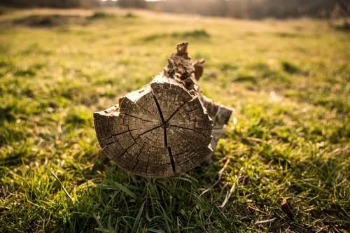 Top-rated lawn mowing service experts serving Groveport, OH - Express Lawn Care & Tree Service