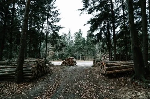 Custom landscaping services near you across Groveport, OH - Express Lawn Care & Tree Service