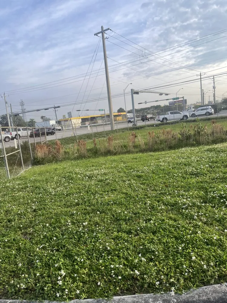 Top-rated lawn mowing service experts serving Hallandale Beach, FL - Express Lawn Care