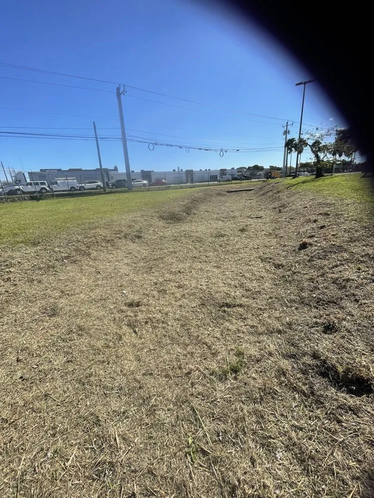 Top-rated residential landscaping experts serving Hallandale Beach, FL - Express Lawn Care