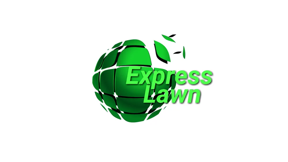 Top-rated yard cleanup service in Citronelle, AL - Express Lawn