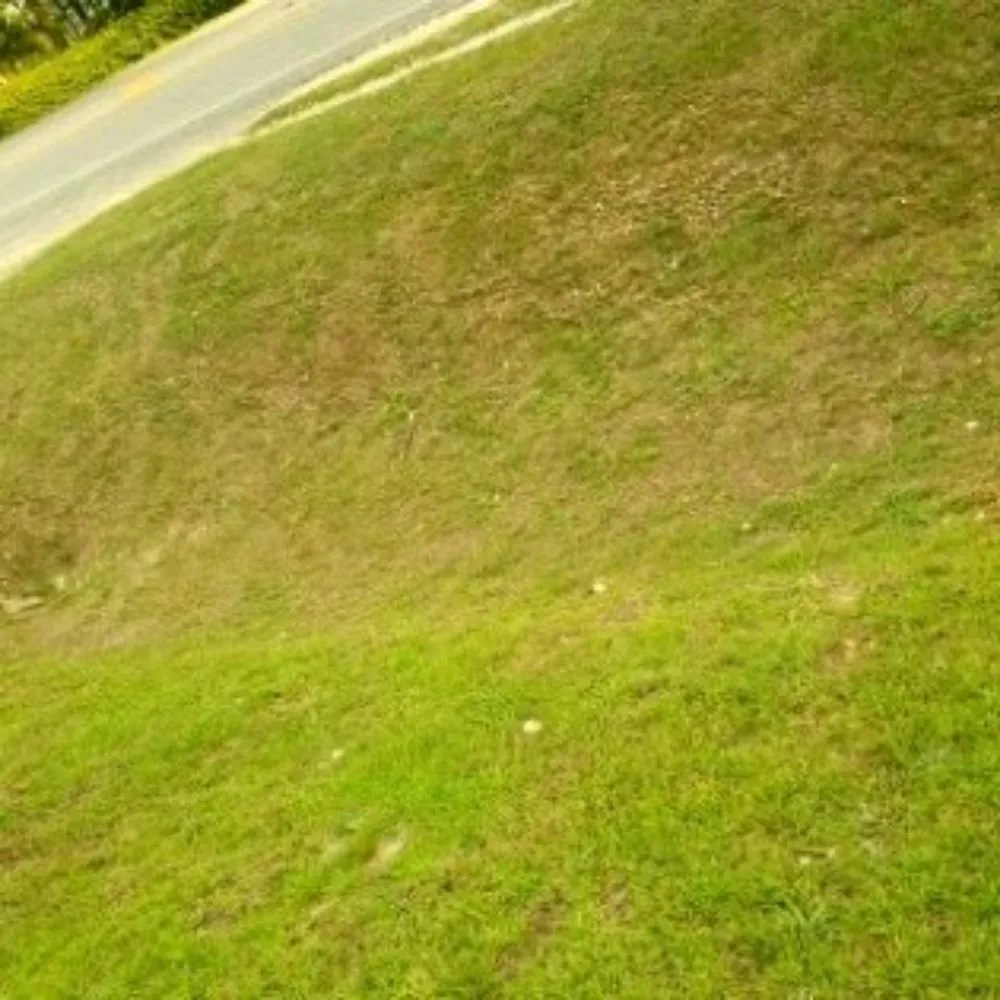 Professional outdoor landscaping experts serving Citronelle, AL - Express Lawn