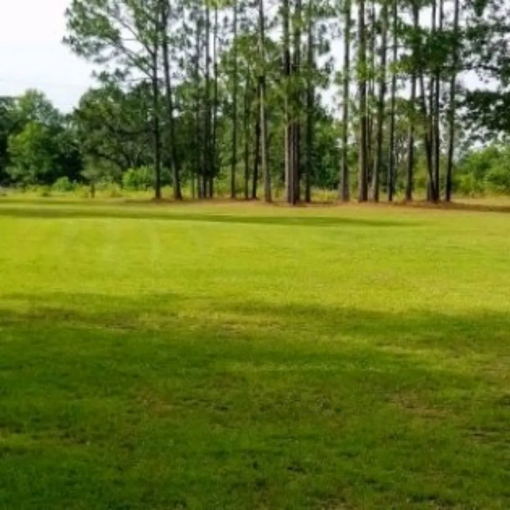 Trusted landscape design for residential properties across Citronelle, AL - Express Lawn