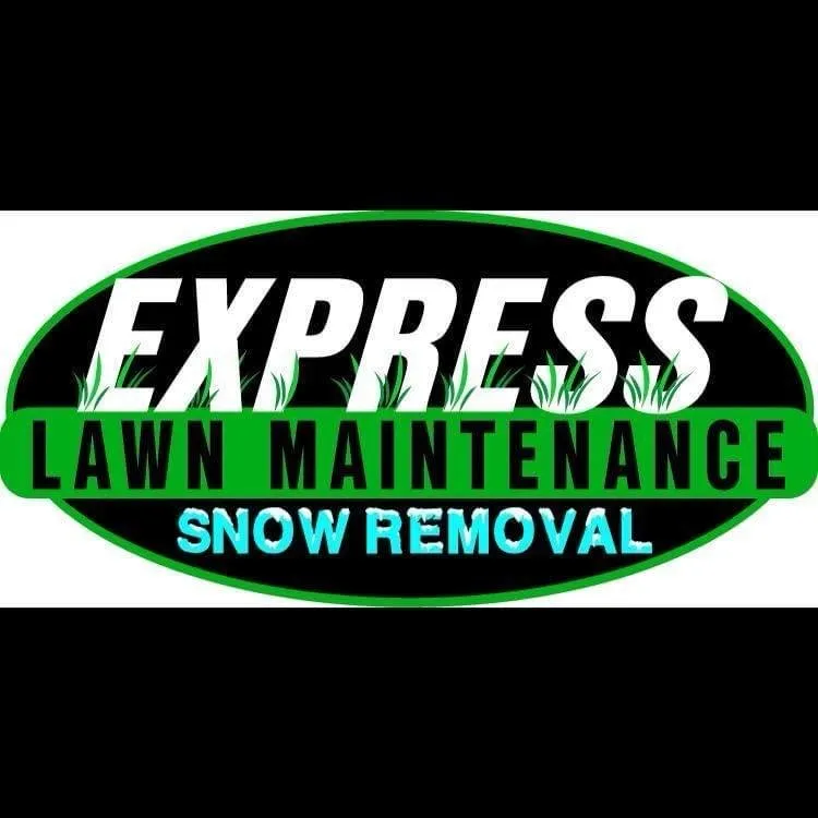 Top-rated yard cleanup service in Wisconsin Rapids, WI by Express Lawn Maintenance