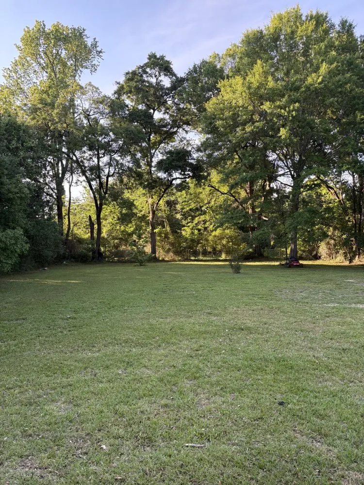 Reliable yard maintenance in Bay Minette, AL - Express Lawn Service
