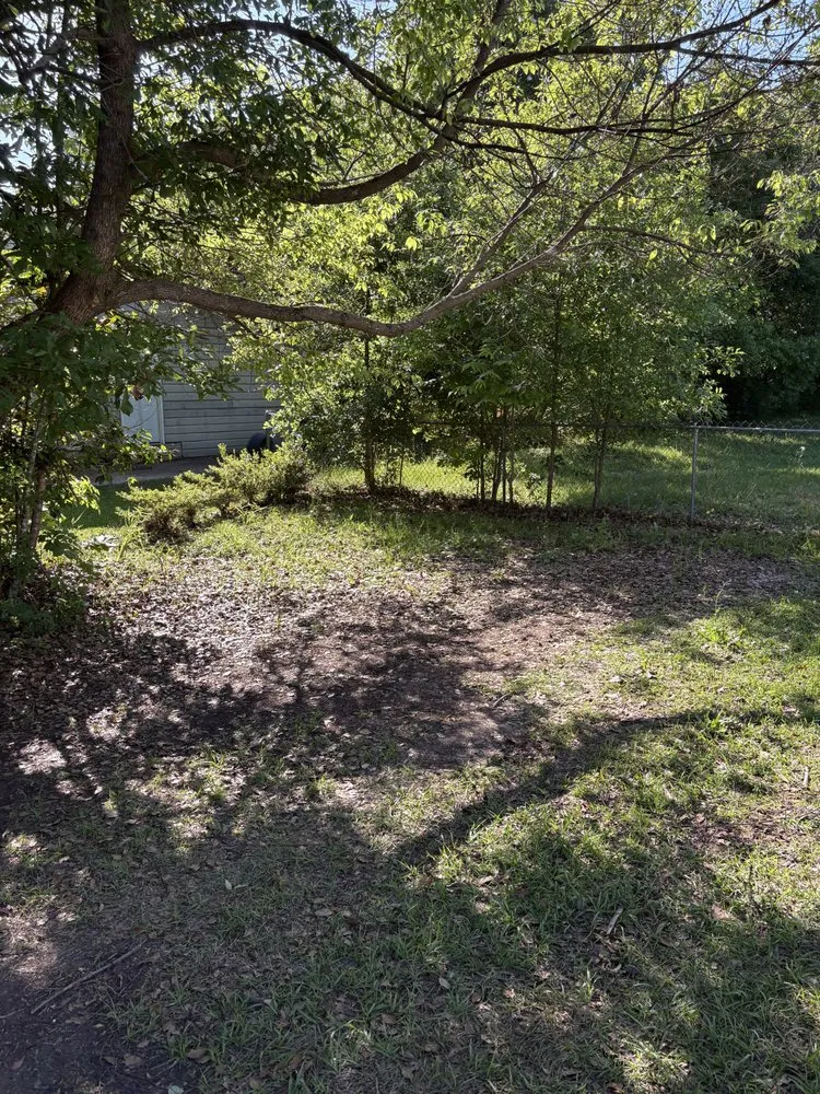 Trusted yard cleanup service in Bay Minette, AL by Express Lawn Service