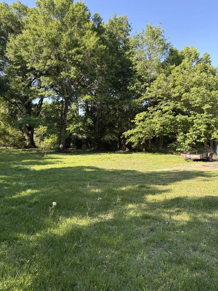 Expert lawn mowing service experts serving Bay Minette, AL - Express Lawn Service