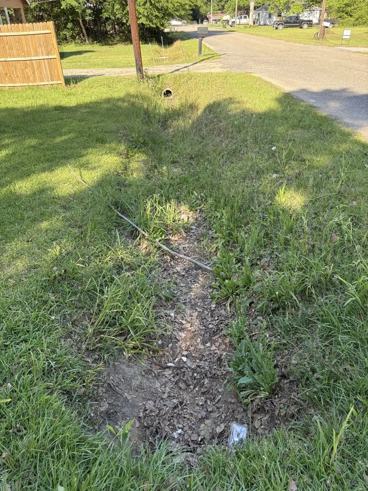 Reliable yard cleanup service in Bay Minette, AL - Express Lawn Service