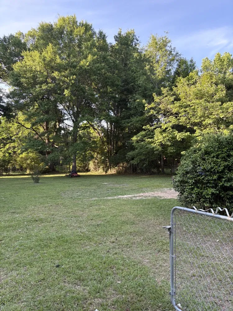 Affordable lawn care service in Bay Minette, AL by Express Lawn Service