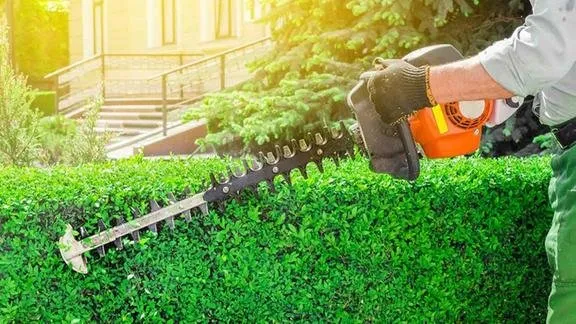 Top-rated garden landscaping in Eugene, OR by Express Lawn Service