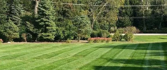 Custom outdoor landscaping experts serving Eugene, OR - Express Lawn Service