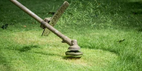 Expert yard cleanup service in Eugene, OR by Express Lawn Service