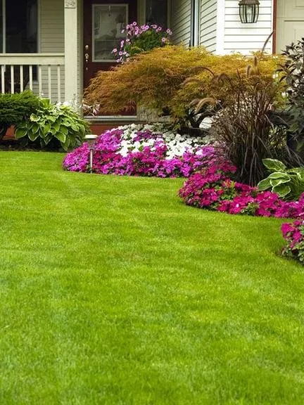 Reliable yard cleanup service near you in Eugene, OR by Express Lawn Service