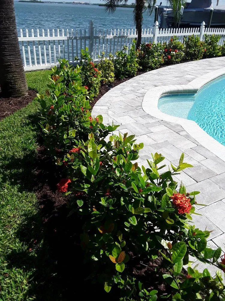 Professional lawn mowing service experts serving Saint Petersburg, FL - Express Lawn Service