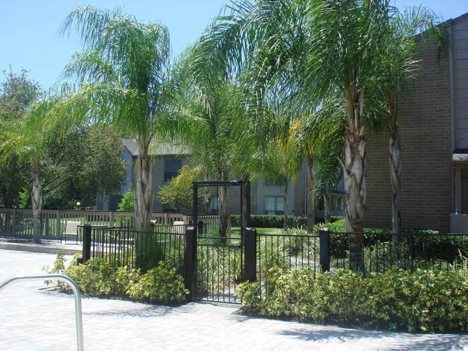 Trusted outdoor landscaping experts serving Saint Petersburg, FL - Express Lawn Service