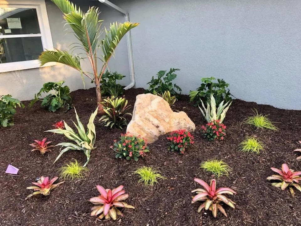 Expert lawn care service near you in Saint Petersburg, FL by Express Lawn Service