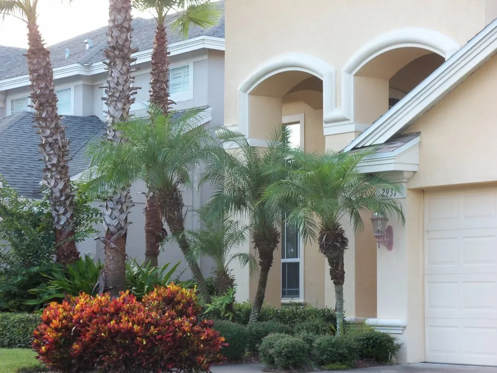 Expert landscaping services experts serving Saint Petersburg, FL - Express Lawn Service