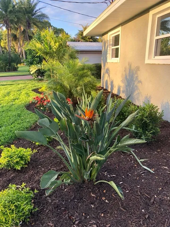 Affordable lawn care service for year-round maintenance across Saint Petersburg, FL - Express Lawn Service