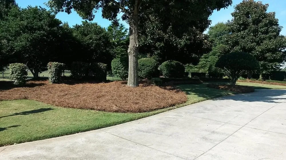 Top-rated yard maintenance experts serving Pageland, SC - Express Pine Needles & Landscaping