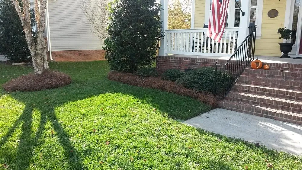 Trusted landscape design experts serving Pageland, SC - Express Pine Needles & Landscaping