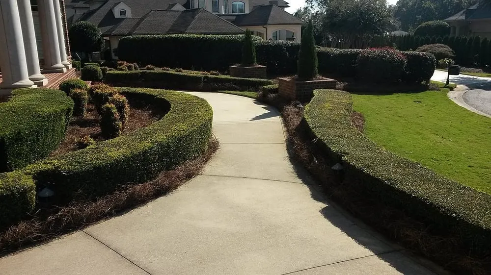 Expert landscape installation near you across Pageland, SC - Express Pine Needles & Landscaping