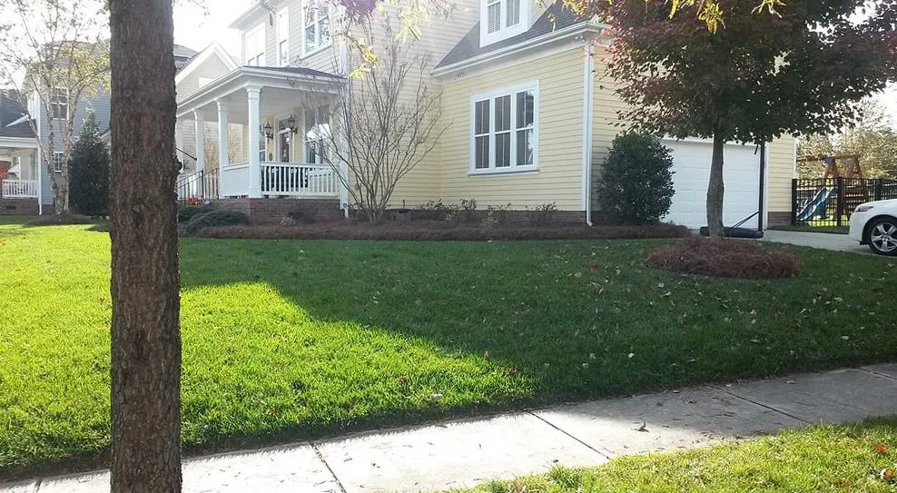 Custom lawn care service in Pageland, SC by Express Pine Needles & Landscaping