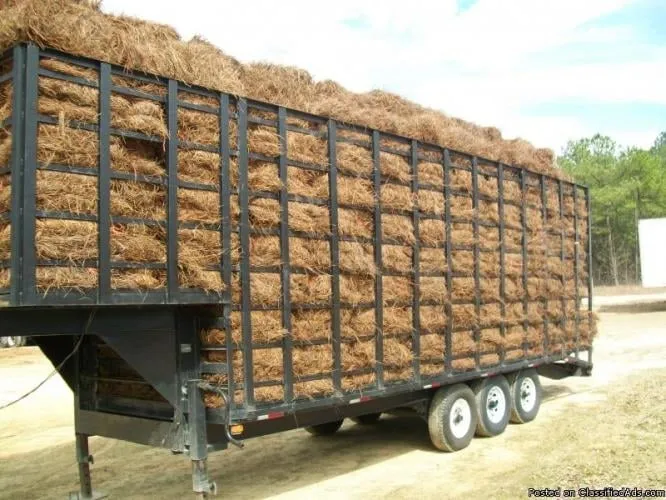 Affordable outdoor landscaping for outdoor upgrades across Pageland, SC - Express Pine Needles & Landscaping